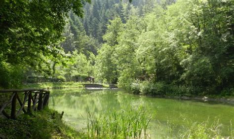 Gli Ambienti Dell Appennino Romagnolo Nel Giardino Botanico Della