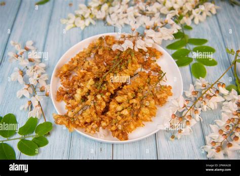 Acacia Flowers Fritters Blossoming Acacia With Leafs Robinia