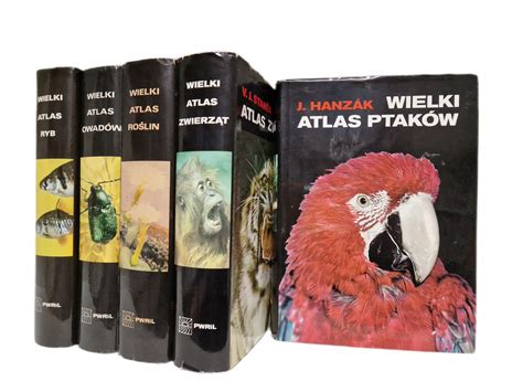 Hanzak Wielki Atlas Ptak W Niska Cena Na Allegro Pl