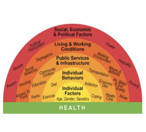 Social Determinants Of Health Flashcards Quizlet