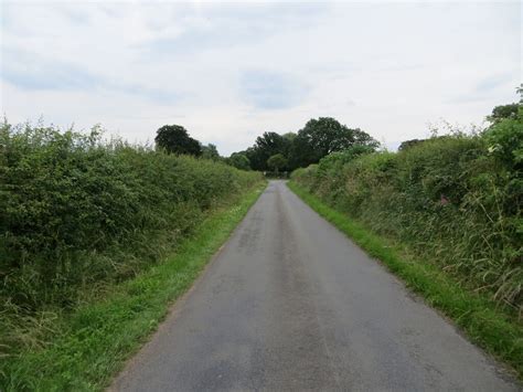 Hedge Enclosed Minor Road Approaching Peter Wood Geograph