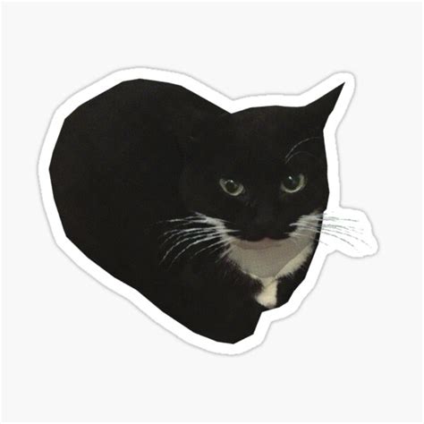 "maxwell the cat" Sticker for Sale by doopsmaster | Redbubble