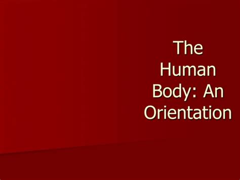 Ppt An Introduction To The Human Body Powerpoint Presentation Free Download Id990228