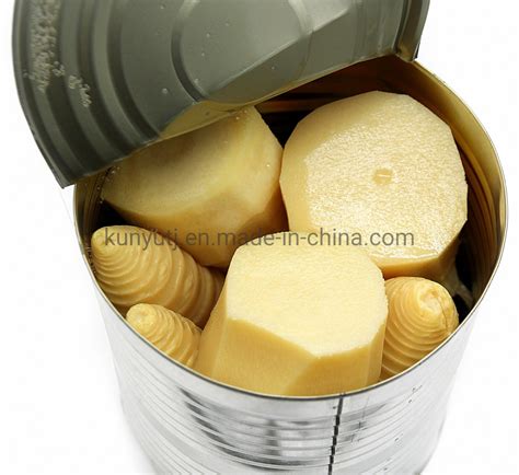 Canned Food Bamboo Shoot Tips With High Quality China Bamboo Shoot