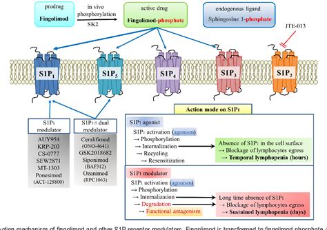 Figure 1 From Sphingosine 1 Phosphate Receptor Modulators And Drug