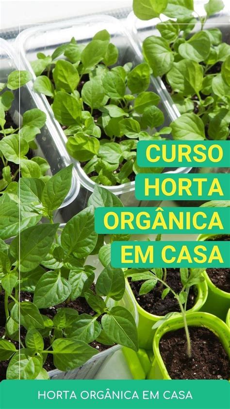 Clique Na Imagem Para Aprender Passo A Passo Como Plantar E Cultivar