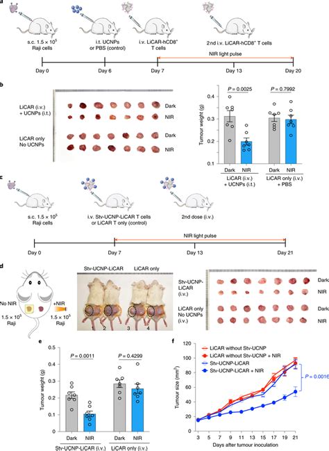 Systemic Injection Of Licar T Cells With Ucnps For Nir Light Inducible