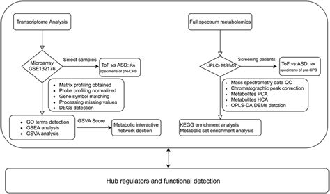 Differentially Expressed Gene Deg Identification And Functional