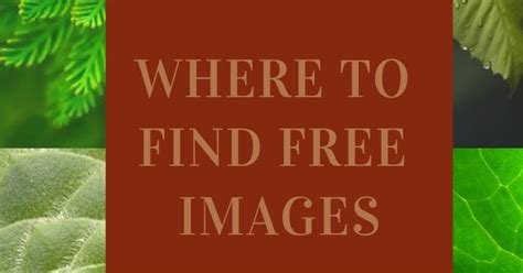 fibro blogger directory   find  images