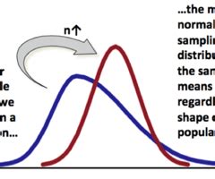 Stat Lesson Sampling Distribution Of X Bar The Central Limit