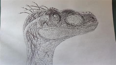 Jurassic Park Velociraptor Drawing