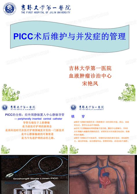 Picc的维护ppt模板下载编号lbxrzrzx熊猫办公