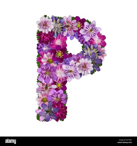 Letter P Flowers Hi Res Stock Photography And Images Alamy