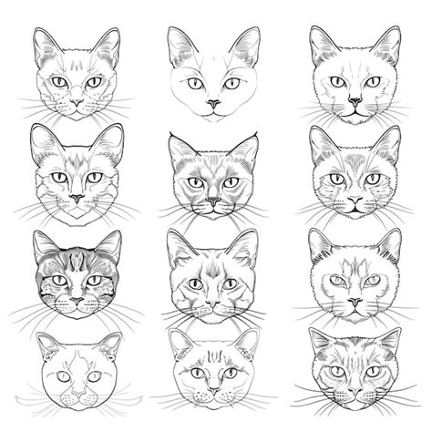 Premium Photo A Drawing Of A Cat With Eyes And Eyes