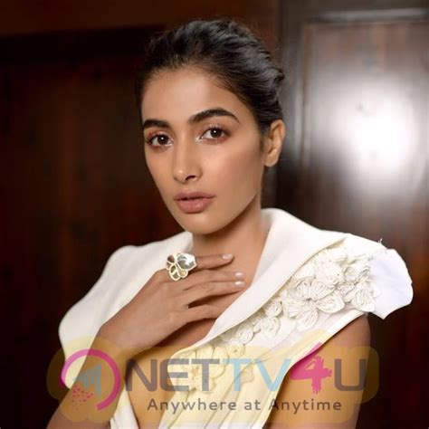 Actress Pooja Hegde Hot And Sexy Images 529341 Galleries HD Images