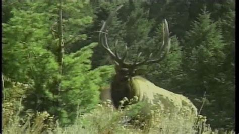 Montana Fish, Wildlife & Parks TV Commercial, 'Elk Hunting' - iSpot.tv