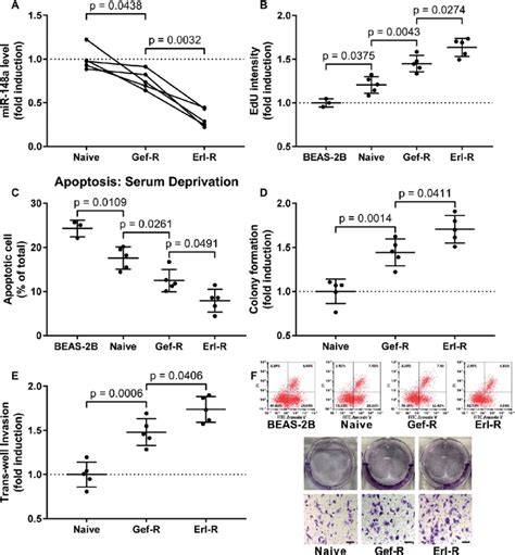 Downregulation Of Mir 148a In Nsclc Cells Associated With The