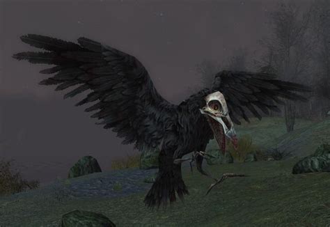 Darkwing Spy Lotro Wiki