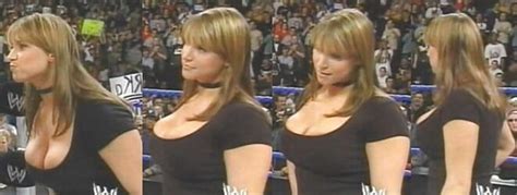 Stephanie McMahon WWE Remarkable Diva Mummy ZB Porn