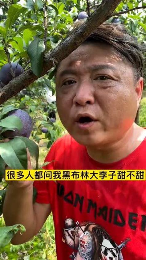 很多人都问我黑布林大李子甜不甜看我的表情你就知道甜不甜了 高清1080P在线观看平台 腾讯视频