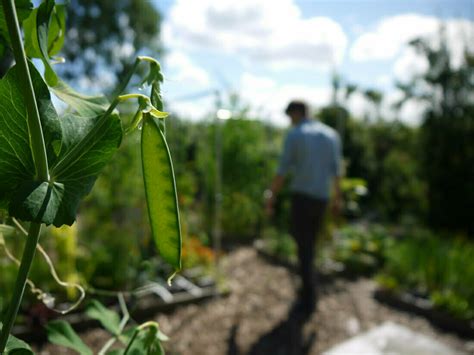 Wonderlijk Werken Aan De Makkelijke Moestuin