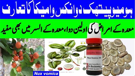 Nux Vomica Homeopathic Medicine Introduction Youtube