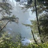 Secret Beach Trail, Oregon - 1,652 Reviews, Map | AllTrails