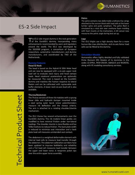 PDF Dummy Features Head Neck Thorax Abdomen Technical Pelvis Lap