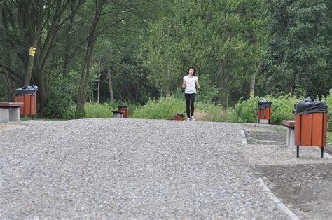 W Parku Lisiniec będą nowe ścieżki piesze i rowerowe Wykonawca wybrany