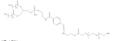 DSPE Hyd PEG NHS 活性酯 聚乙二醇 腙键 磷脂 NHS PEG Hyd DSPE UDP糖丨MOF丨金属有机框架丨聚集诱导发光