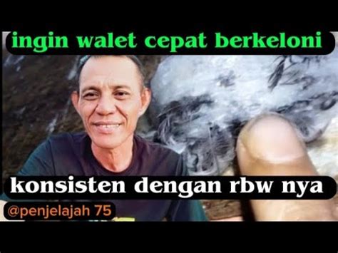 Langkah Yang Tepat Agar Walet Cepat Tinggal Dan Berkeloni Triknya Ini