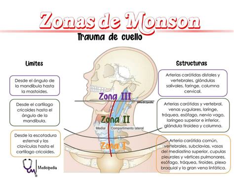 Zonas De Trauma Cuello Medicipedia UDocz