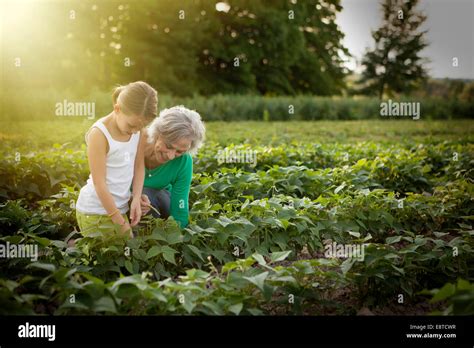 Abuela y nieta del Cáucaso recogiendo plantas en la granja Fotografía