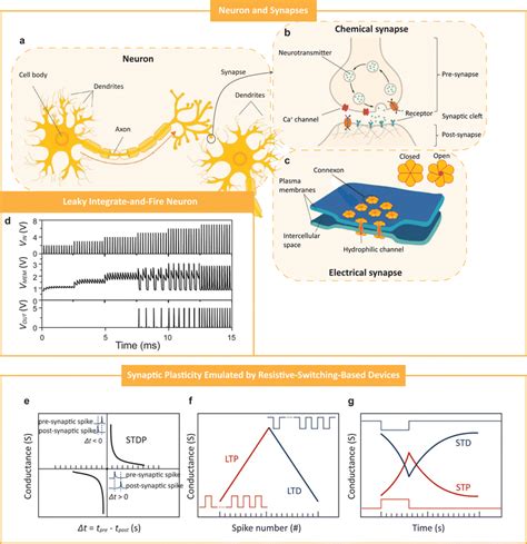 Emerging Memristive Artificial Neuron And Synapse Devices For The