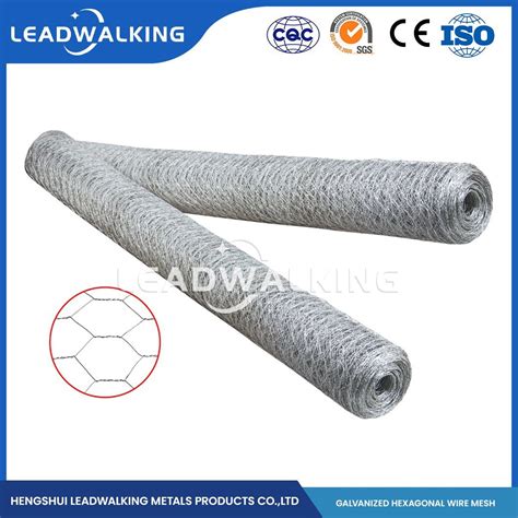 Leadwalking China Poultry Farm Mesh Factory Mild Steel Wire Material