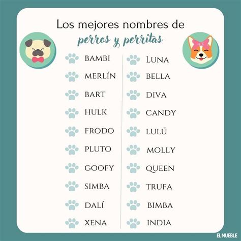 M S De Nombres Para Perros Machos Y Perritas Bonitos Originales E