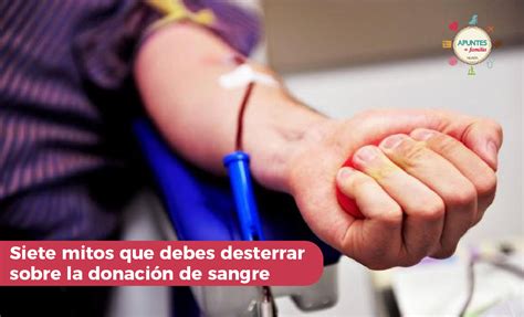 Siete Mitos Que Debes Desterrar Sobre La Donaci N De Sangre Revista