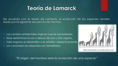 Teorias Origen Hombre 1 Ppt