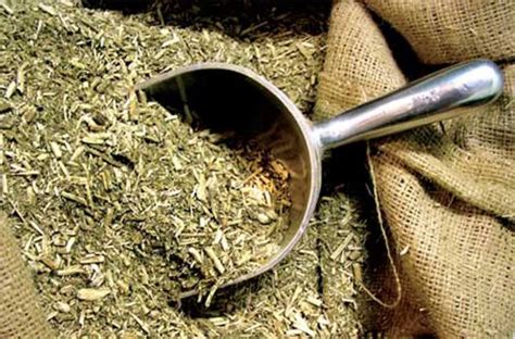 Propiedades Medicinales De La Yerba Mate