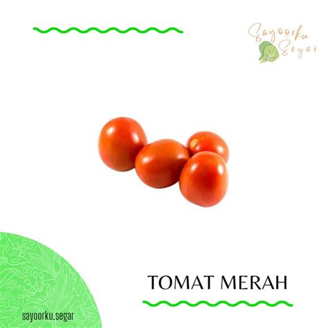 Jual Tomat Merah Tomat Hijau Tomat Buah Shopee Indonesia