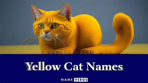 Yellow Cat Names: 333+ Best Names For Your Sunny Feline