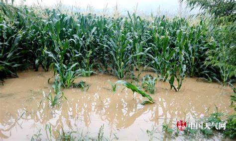 辽宁遭遇强降雨局地大暴雨 多地道路冲毁农田被淹tom旅游