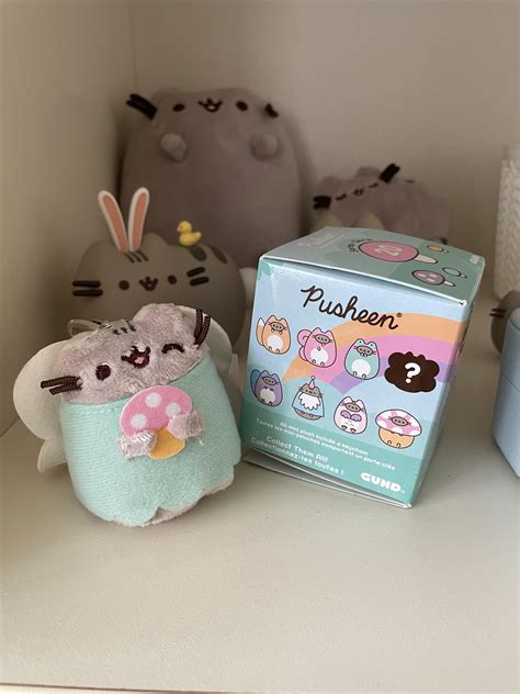 Couldnt Imagine That It Will Happen But Ive Got Rare Pusheen Rpusheen