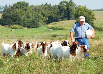 Small Ruminant Grazing Conference Feb In Morehead College News