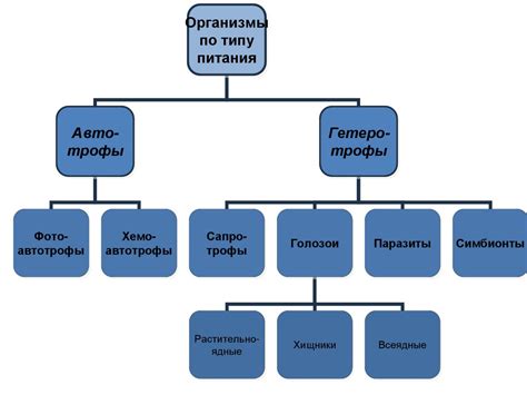 Типы питания живых организмов - презентация онлайн