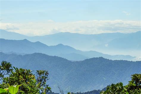 Mindo Cloud Forest Full Day With Birding Waterfalls Zip Line Chocolate