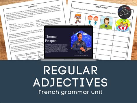 French Grammar Lesson French Regular Adjectives Teaching Resources