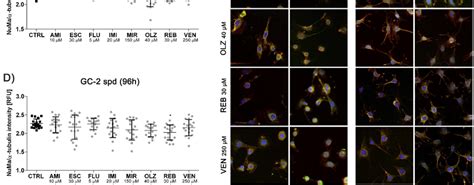 Antidepressants Interact Between The Nuclear Mitotic Apparatus Protein