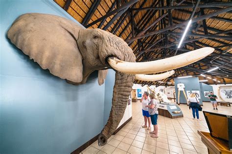 Elefantenmuseum Letaba Suedafrika Dsc Gehen Sie Mit Benny Rebel Auf