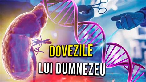 Transplantologia Dovezile Lui Dumnezeu Austrolopitecul Lucy Maimu